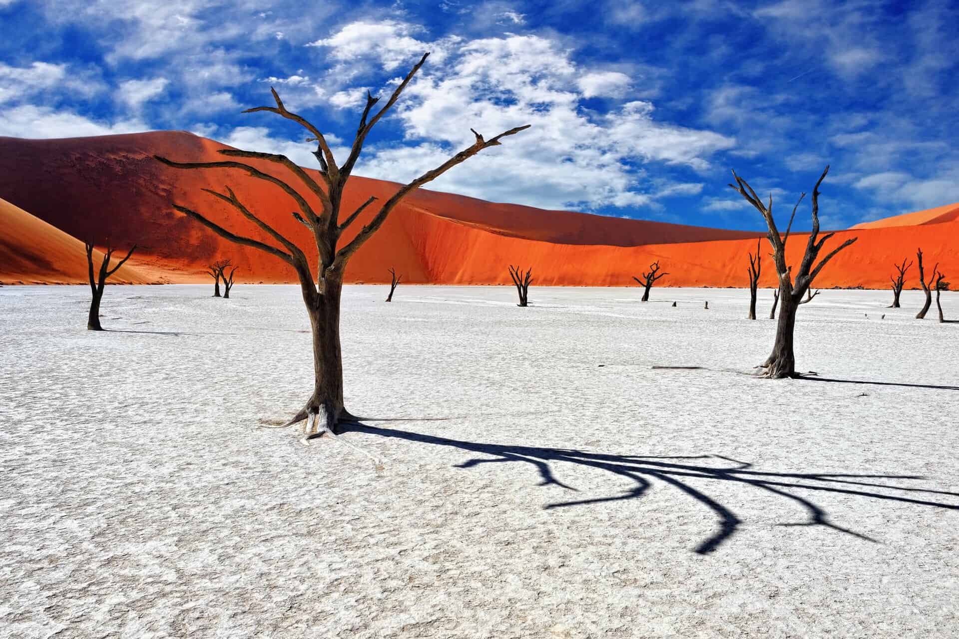 Namibia travel highlights including Sossusvlei dunes, Etosha safari and Skeleton Coast